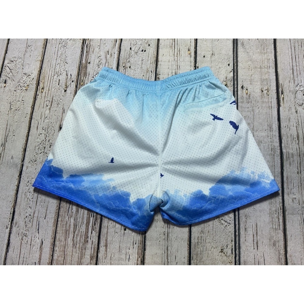 YoungLA 141 Block Party Blue White Mesh Gym Shorts Men's Size Small - Picture 4 of 6